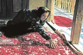 محله پشتی باف&zwnj;های مشهد
