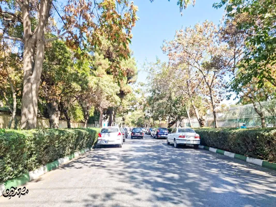 دانشسرای جنوبی یا سناباد35
