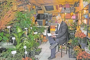 img-profile-author