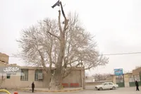 برج و باروی قرقی چندصدسال محافظ اهالی بود