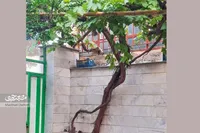 خاطره مرتضی عاقل از معبر ۲۴ متری که ورزشگاه محله جاهدشهر بود