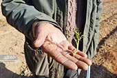 یک روز زندگی در مزرعه خاندان رضوی