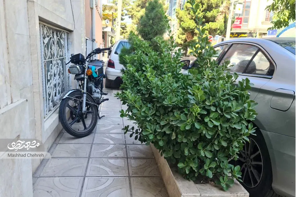 محله گردی محله گردی