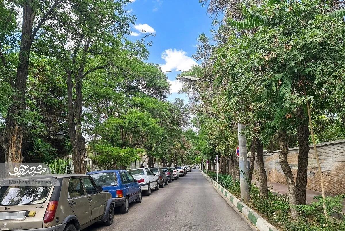 بابک؛ کوچه خاطره‌انگیز احمدآباد