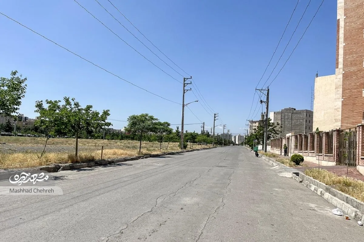 تنفس در کنار مخزن نهال شهرداری