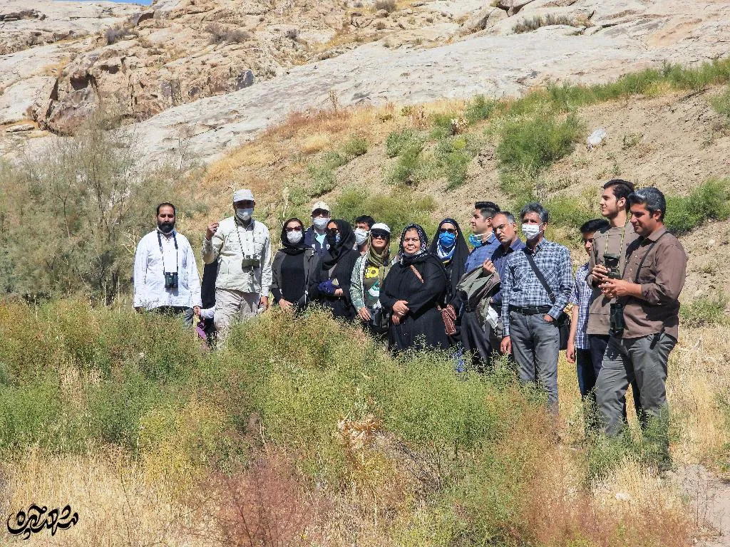 باشگاه پرنده نگری