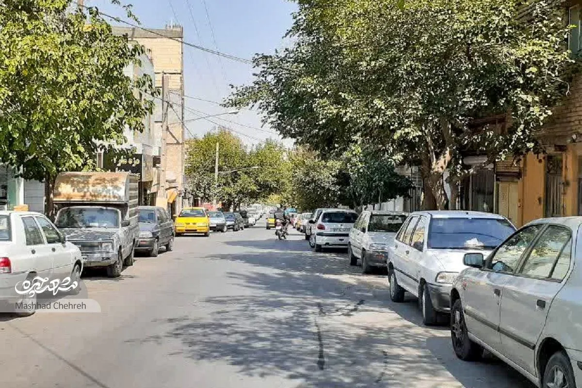 ۴ مدرسه در کوچه صابر یک