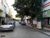 یاد سبز2شهید در کوچه درخت توت