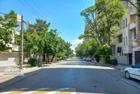 کوچه سرسبز و خاطره‌ساز در محله مسلم