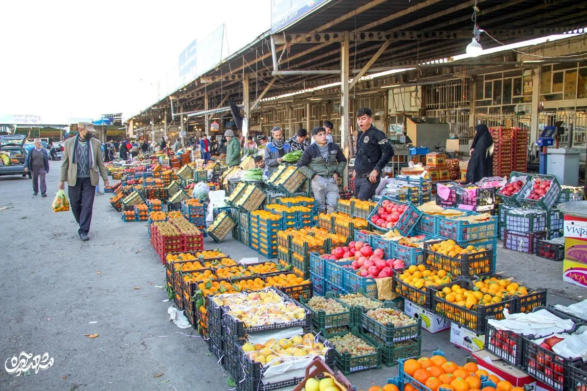 میدان‌بار نوغان