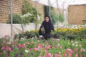 کارآفرینی با گل&zwnj;های یگانه خانم