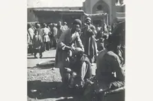 کچلی؛ بیماری سمجی که سال‌ها طول کشید تا در مشهد ریشه‌کن شود