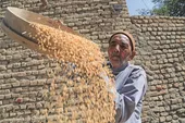 شام غریبان؛ رسم آشنای اهالی مشهدقلی