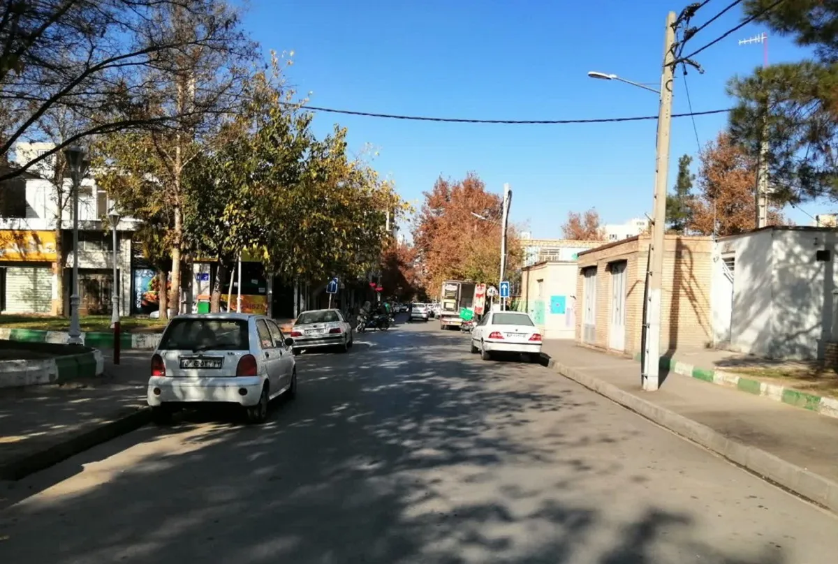 شور زندگی در خیابان سمیه