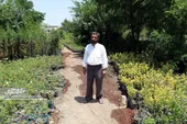 جوادآقا روزی ۲ هزار شاخه گل قلمه می&zwnj;زند