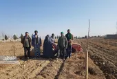 یک روز زندگی در مزرعه خاندان رضوی