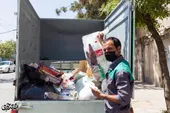  &laquo;اکو&raquo;، &laquo;وحید&raquo; را با طبیعت آشتی داد