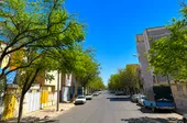 محاصره سبز کوچه شهیدحشمتی