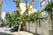 کوچه&zwnj;ای شصت ساله با درختان انگور