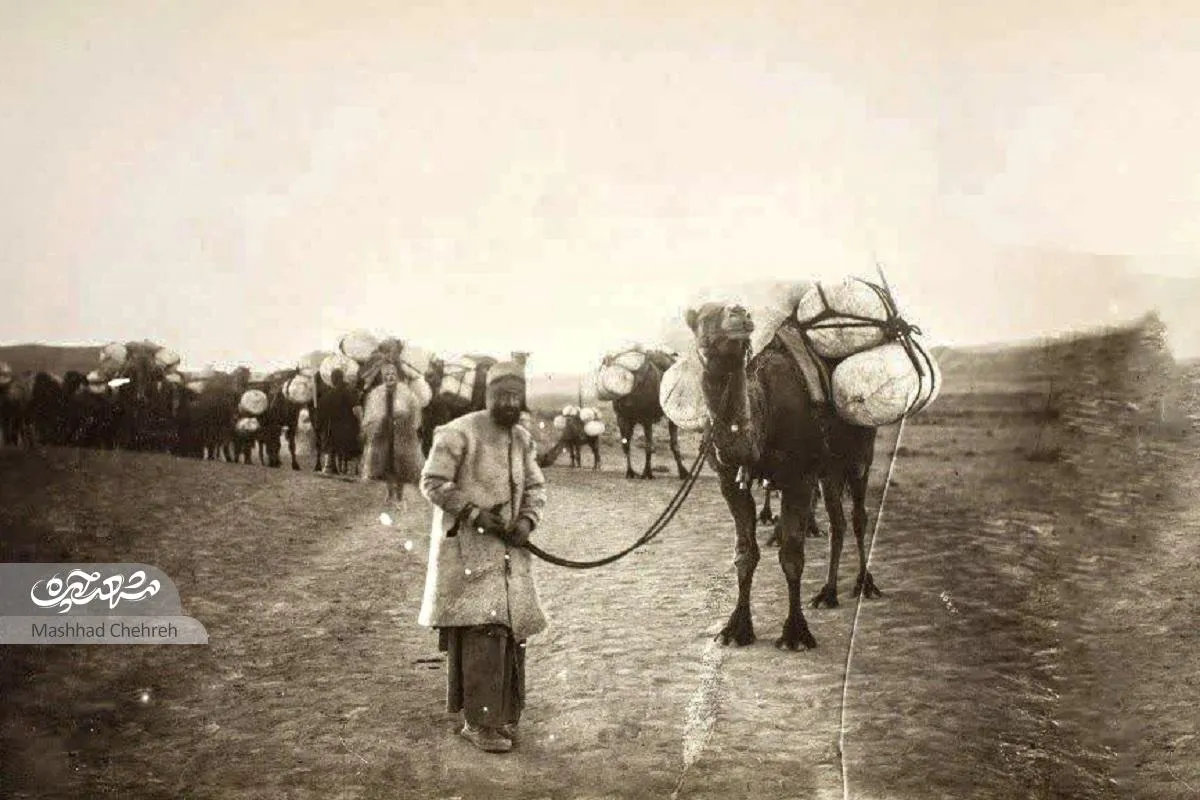 کوچه ساربان‌های مشهد کجا بود؟