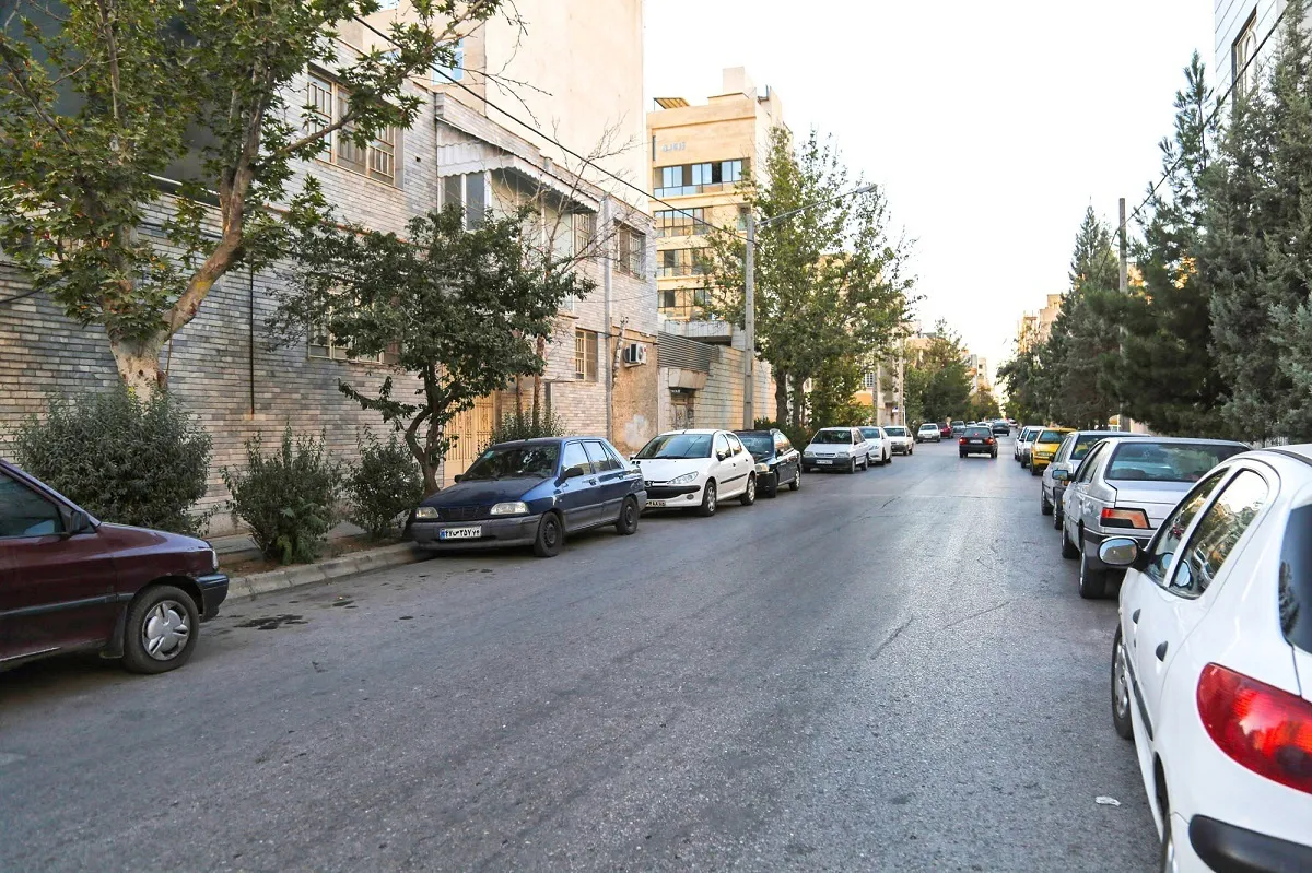 کوچه پروتئینی‌ها در محله زیباشهر