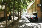 کوچه درختی؛ معبری به یاد شهید صدر