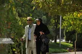 تزریق قطره اوستین سوی چشمان عزیزیان را گرفت