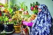 شادی را با گل تکثیر کنیم