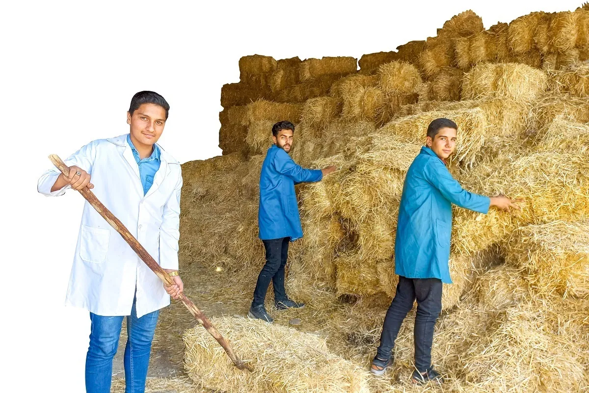 دهکده‌ای برای کشاورزی دانش‌آموزان