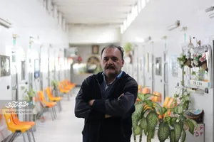 img-profile-author