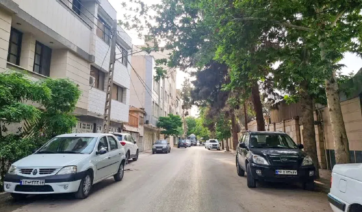 خیابان طالقانی تا پنجاه سال پیش گندمزار بود