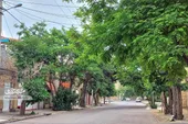 کوچه&zwnj; سبز محله مهرمادر