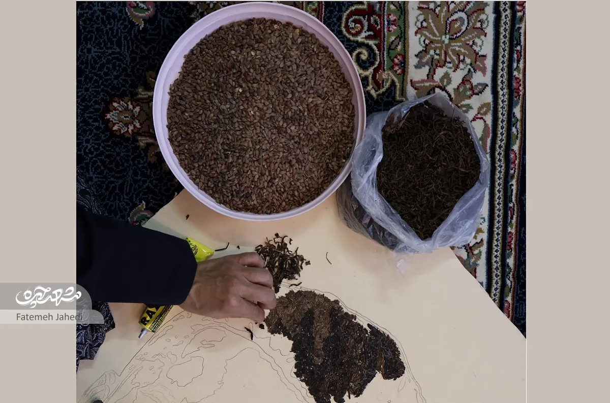 زهره فریمانی