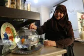 کارآفرینی با قارچ کفیر!
