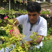 گل&zwnj;ها جزئی از خانواده ما هستند
