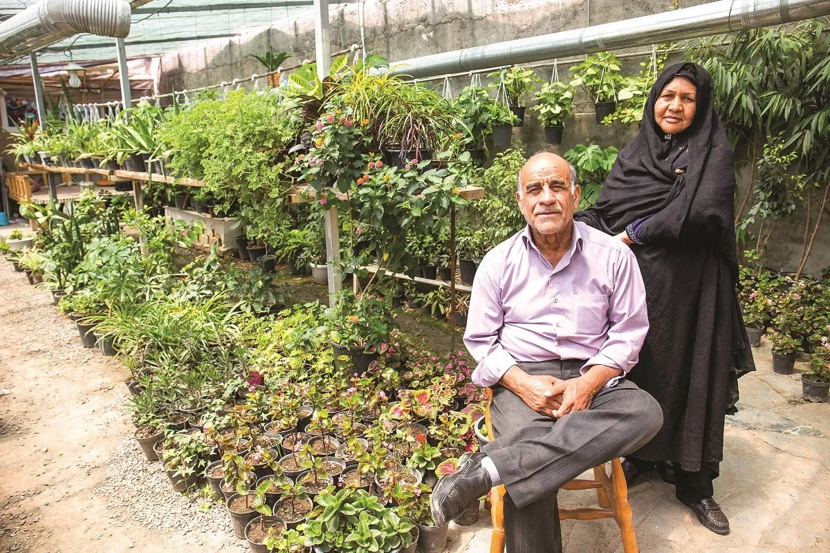 گلخانه‌داری در حیاط ۷۰ متری
