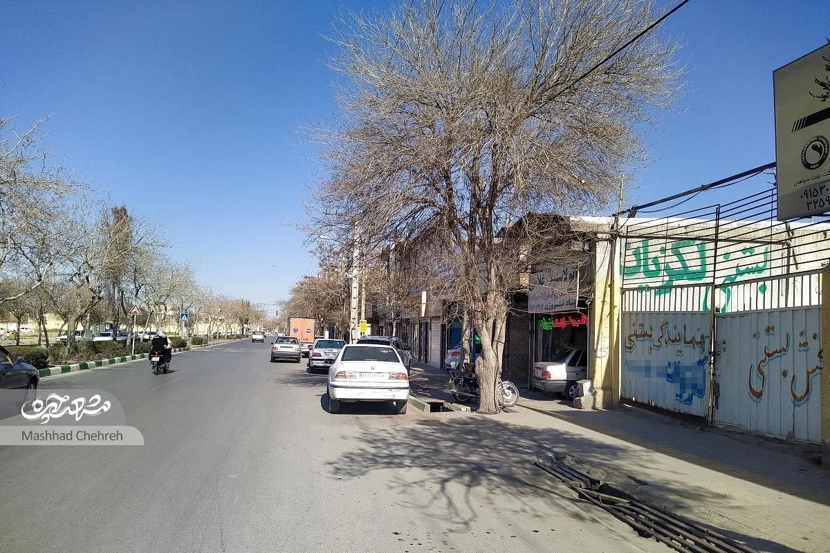 نوجوانی مصطفی هروی لابه‌لای ساختمان‌های محله نیزه‌ جا مانده است