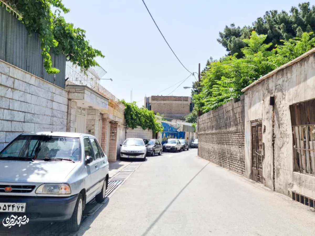 کوچه دانشگاه 11