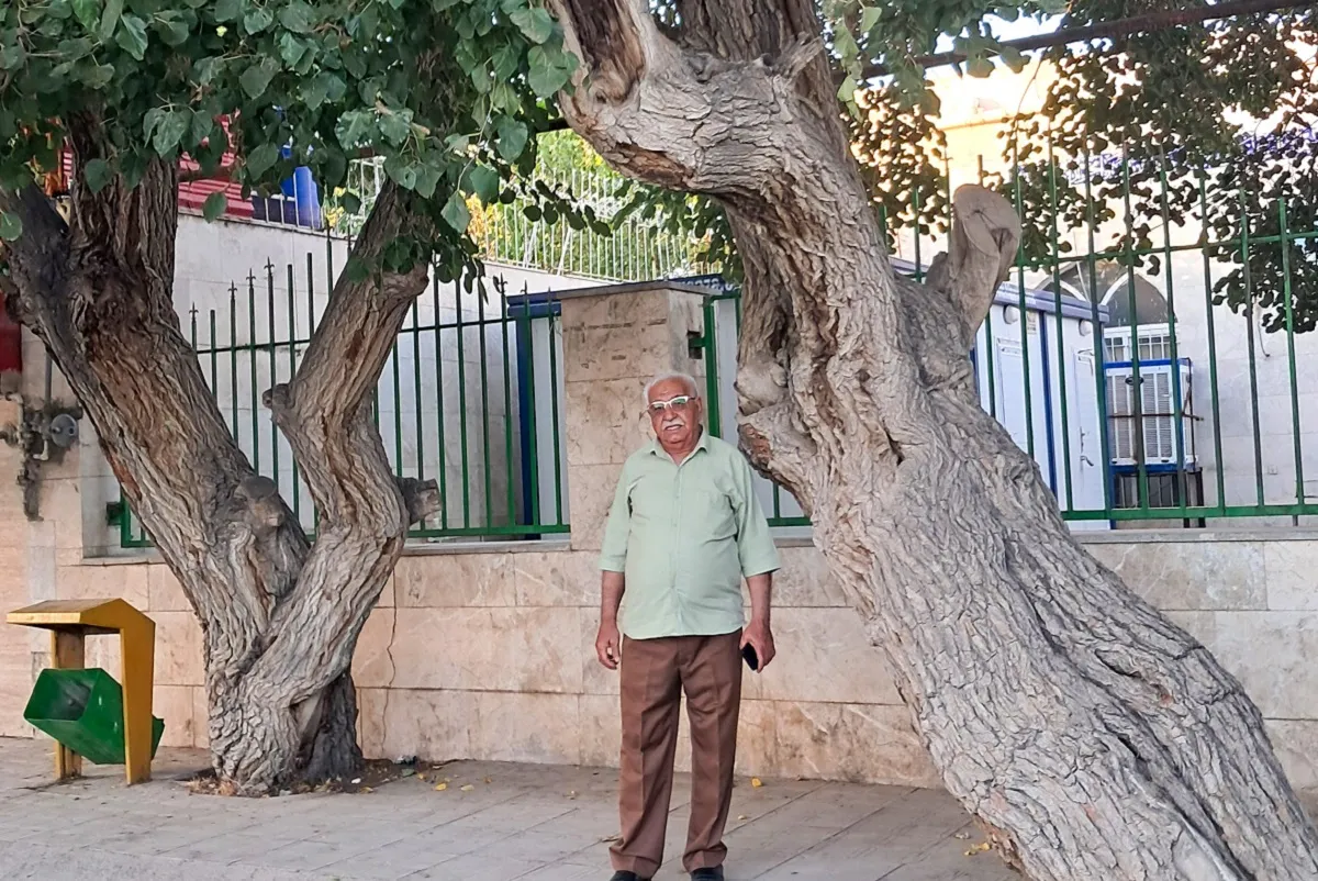 محله گردی