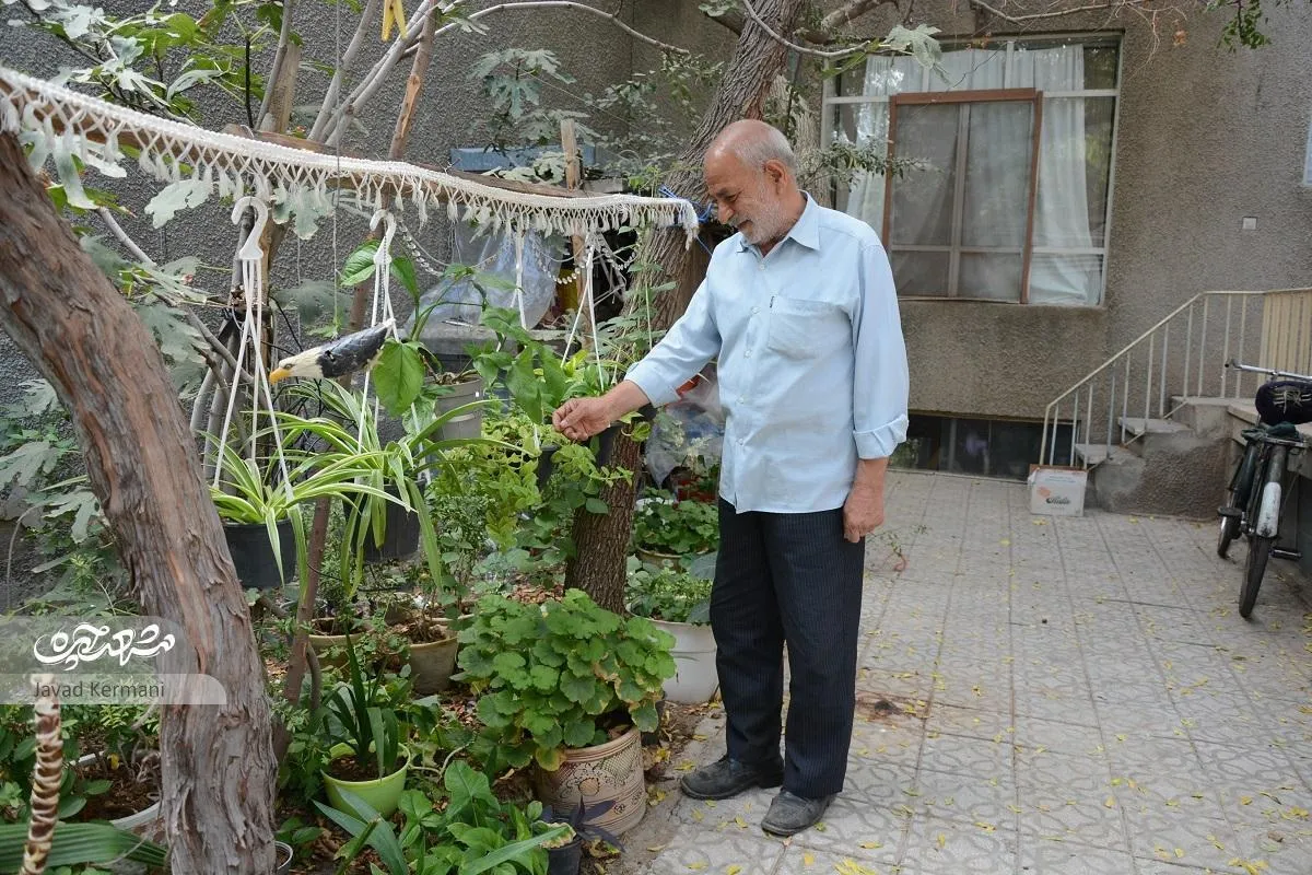 از اینکه پسرم را به جبهه بردم ناراحت نیستم
