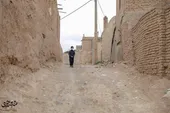 قرقی در قرق مشکلات
