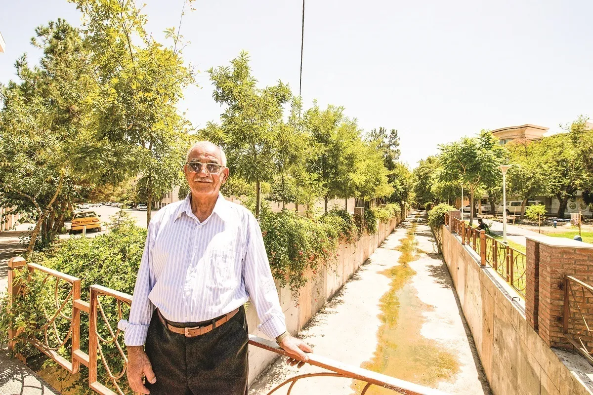 درختان کال نسترن، اولاد من هستند