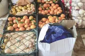 کار خیر موسسه سرزمین خورشید برای مبارزه با فقر