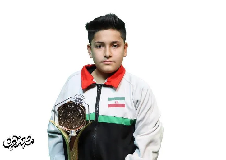 حسین طیبی