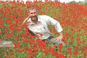 img-profile-author