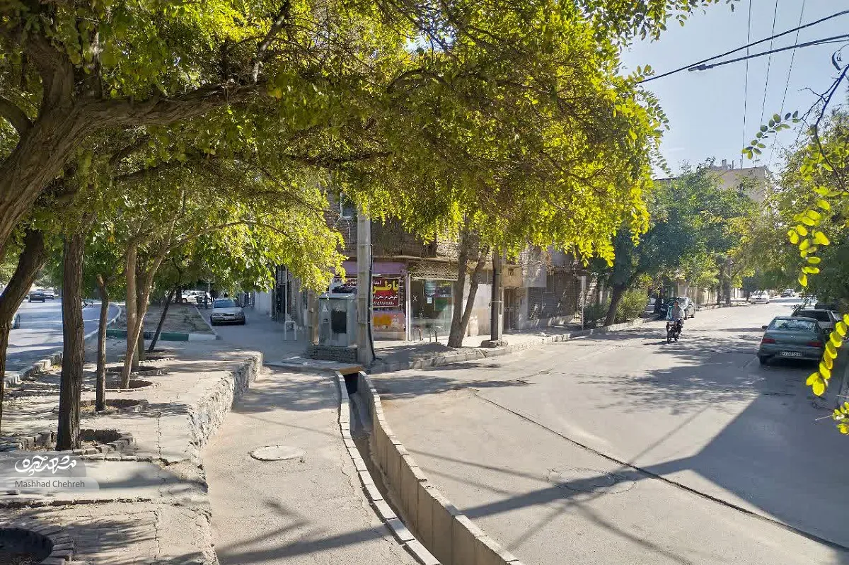 جواد قربانی