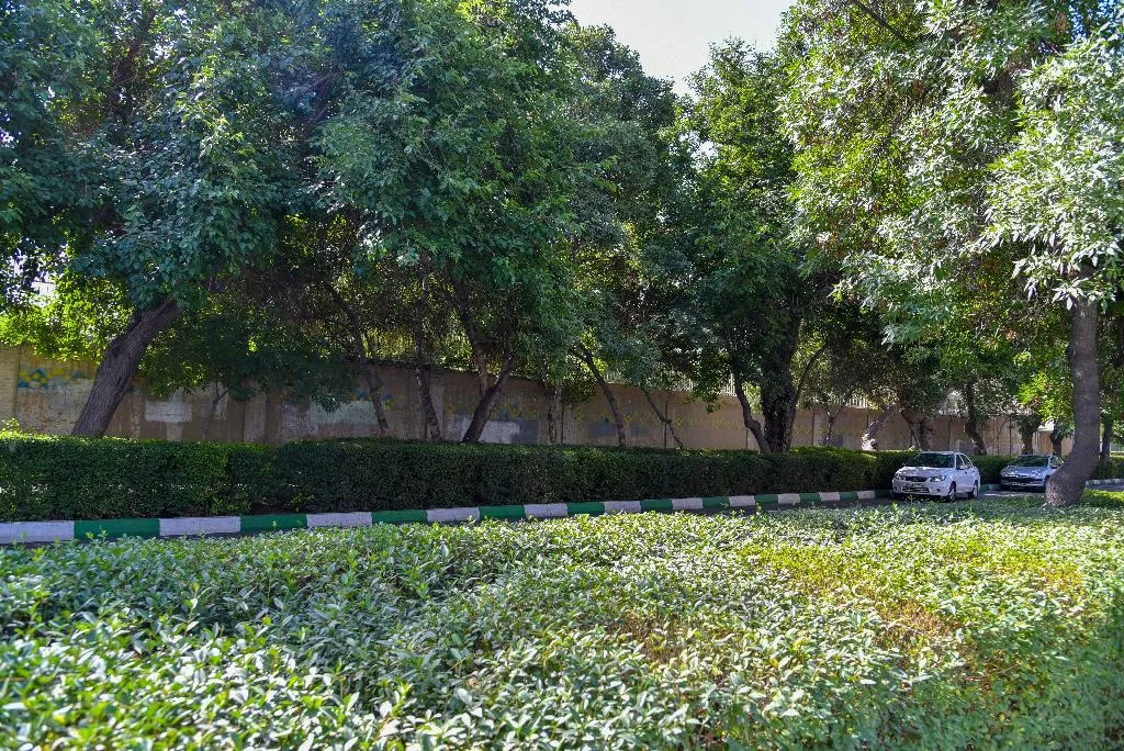 خیابان دانشسرای جنوبی