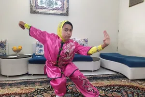 زندگی با ووشو
