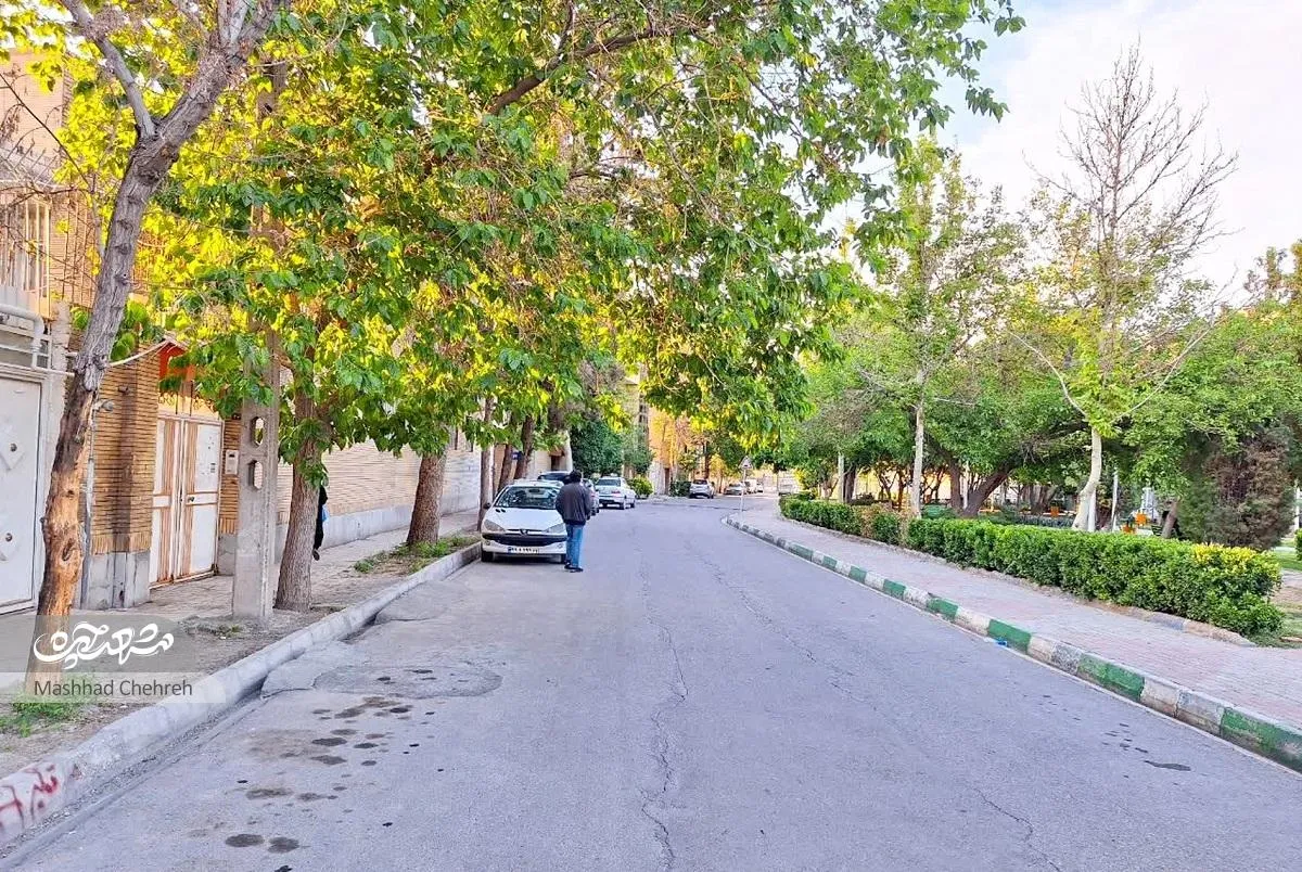 کوچه آلاله‌ در بهاران
