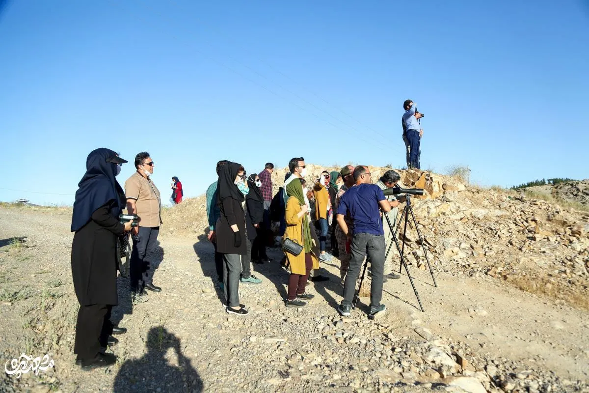 پرنده نگری هفت حوض